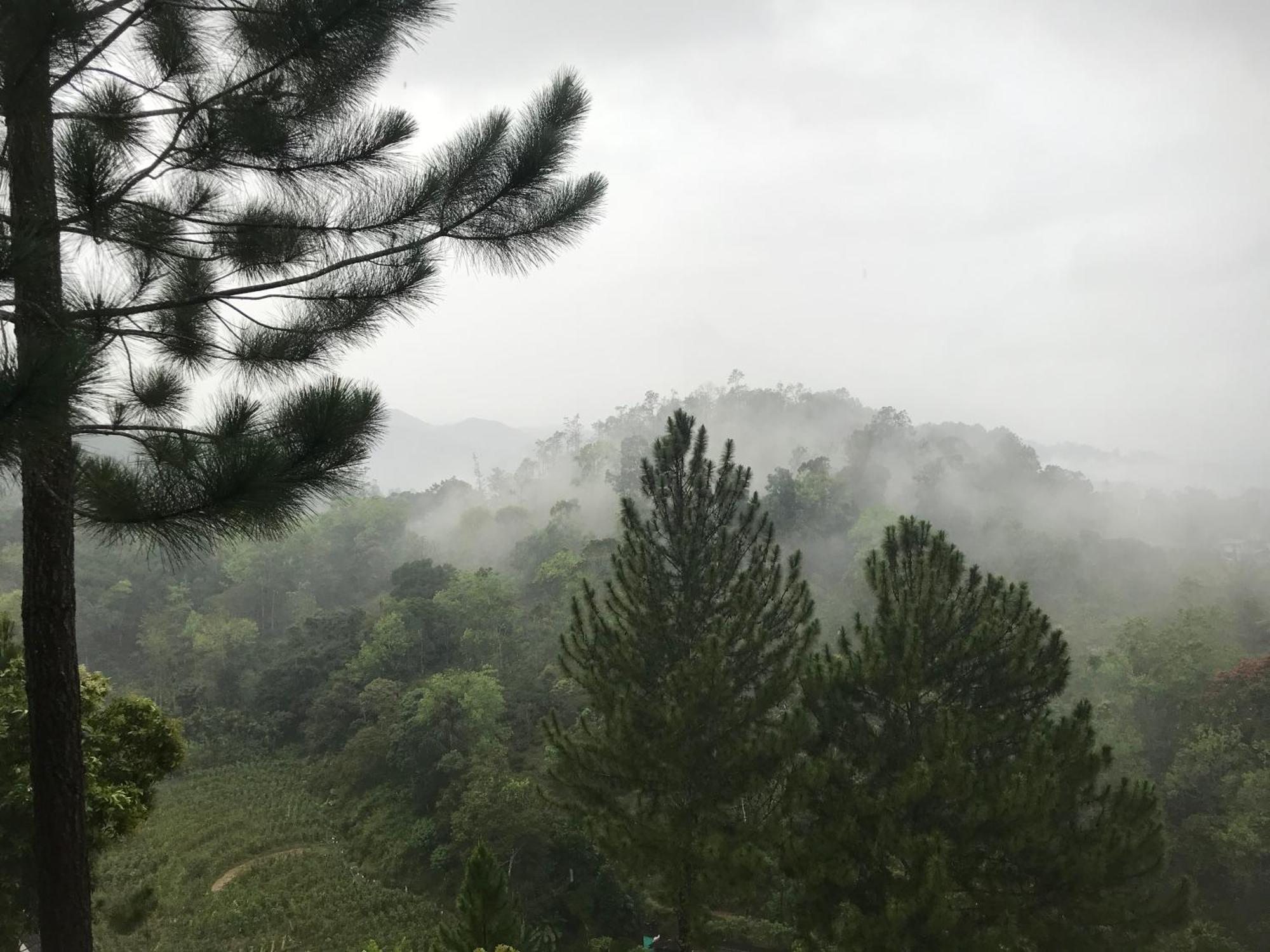 Turn View Resort Ella Εξωτερικό φωτογραφία